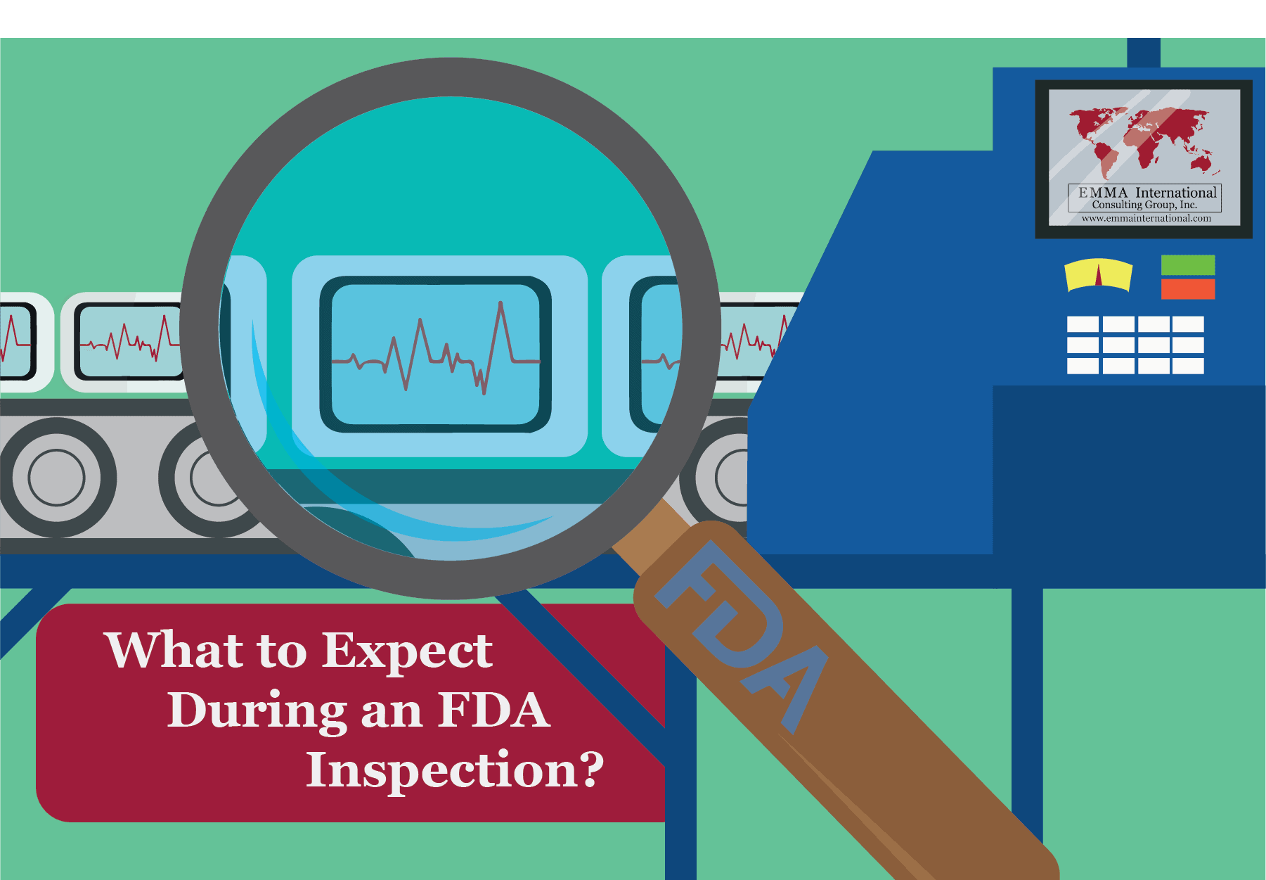 The FDA Inspection
